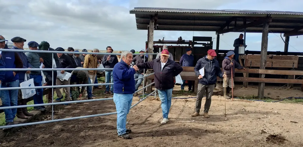 IMG_20240409_111850978_HDR