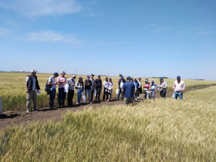 convocatoria-profesionales-696x522