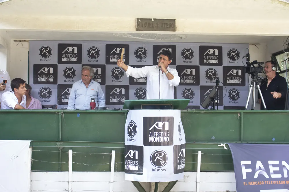 Rústicos tandil 7 _15
