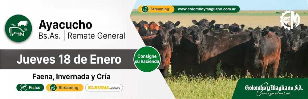 COLOMBO Y MAGLIANO