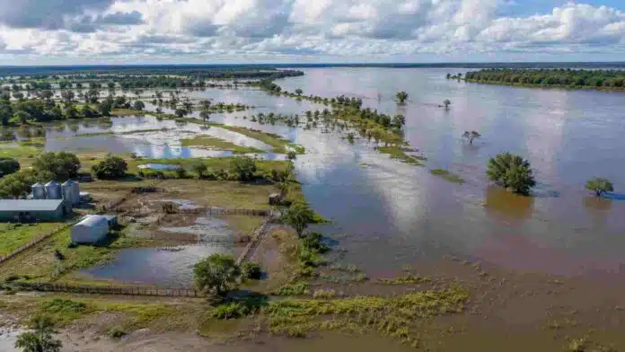 el-nino-2026-riesgo-anegamientos-cuenca-del-plata-696x392.jpg