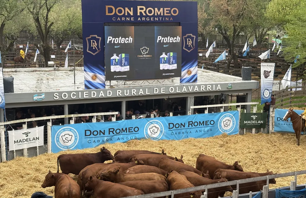 DON ROMEO