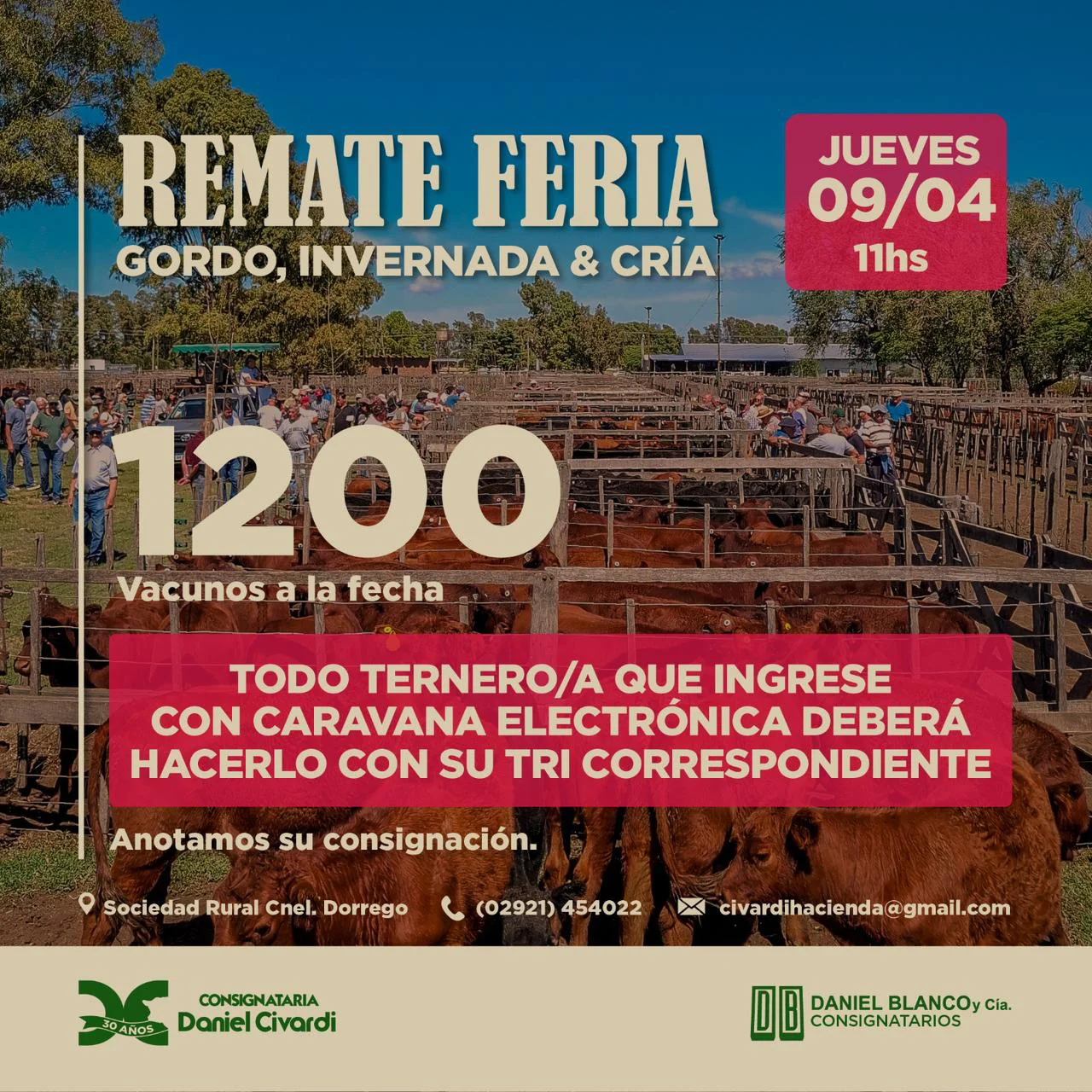 WhatsApp Image 2026-04-02 at 10.23.50 AM