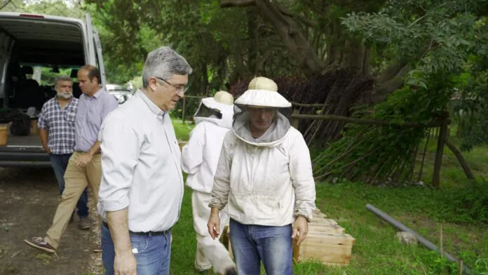 WhatsApp-Image-2023-12-15-at-15.55.29-3-696x392