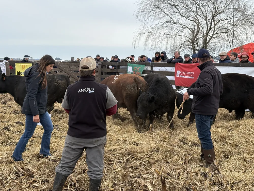 TERCERA JURA FENOTIPICA - SEGUNDA PRUEBA PASTORIL - LA SOÑADA, OLAVARRIA