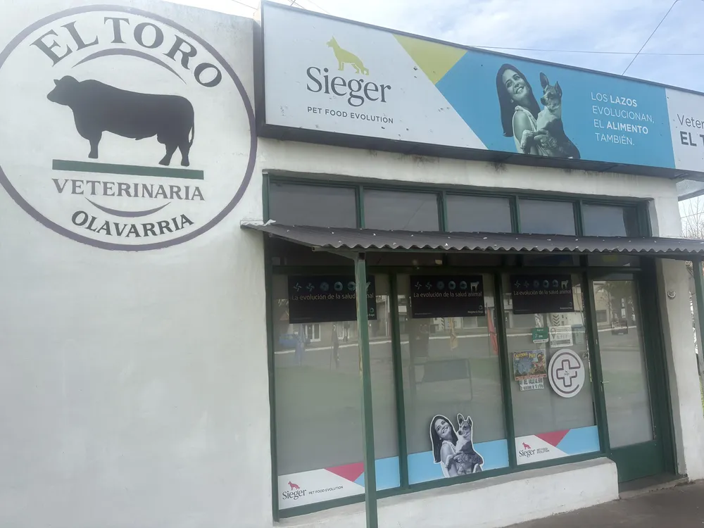 EL TORO1