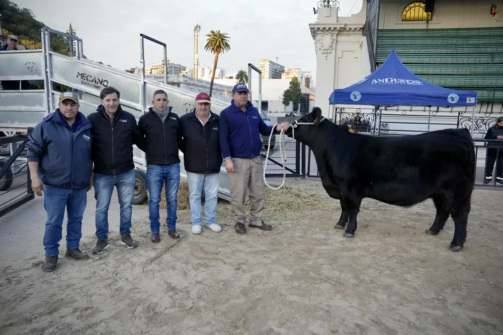 FIESTA OTOÑO ANGUS 2024