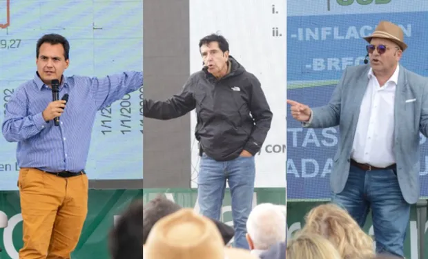 panorama_economico_campana_25-26-215402