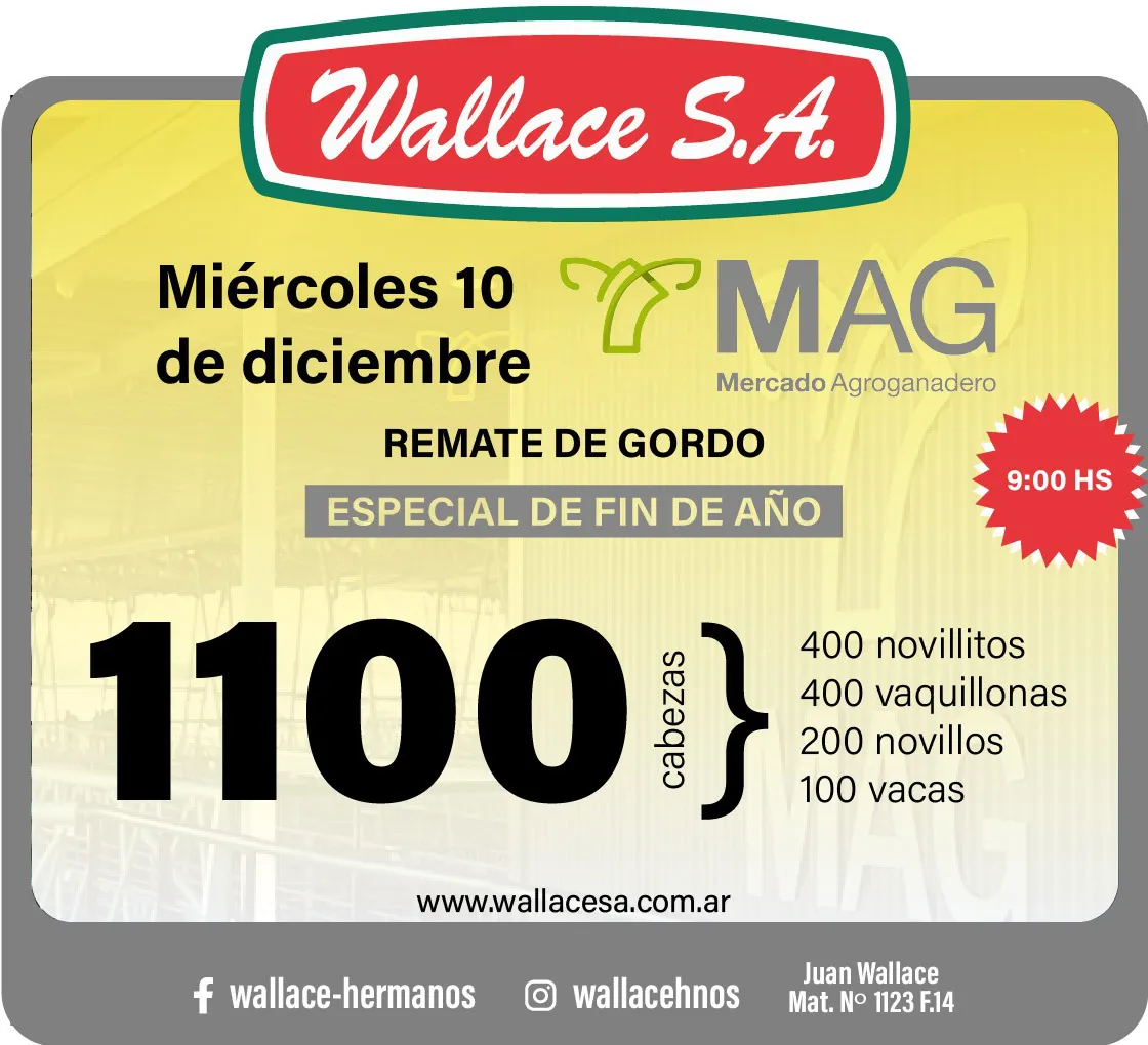 WhatsApp Image 2025-12-09 at 3.16.52 PM