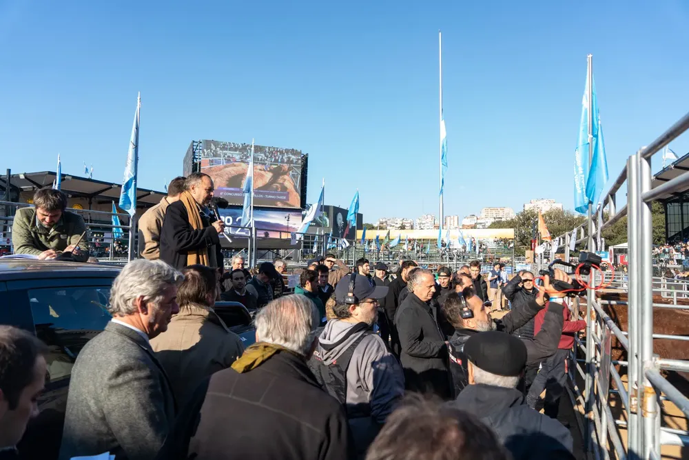 WhatsApp Image 2024-07-18 at 10.49.47 PM