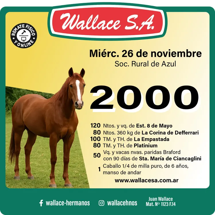 WhatsApp Image 2025-11-22 at 11.21.45 AM