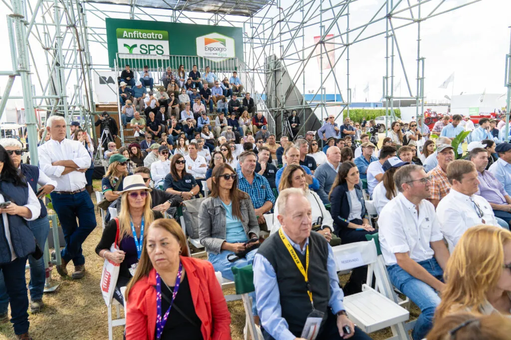 Dsp-del-8vo-parrafo-1024x682