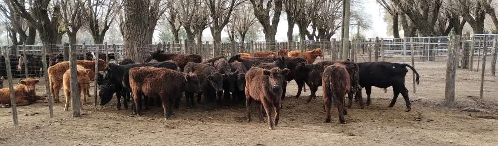 IMG_20240718_154147198