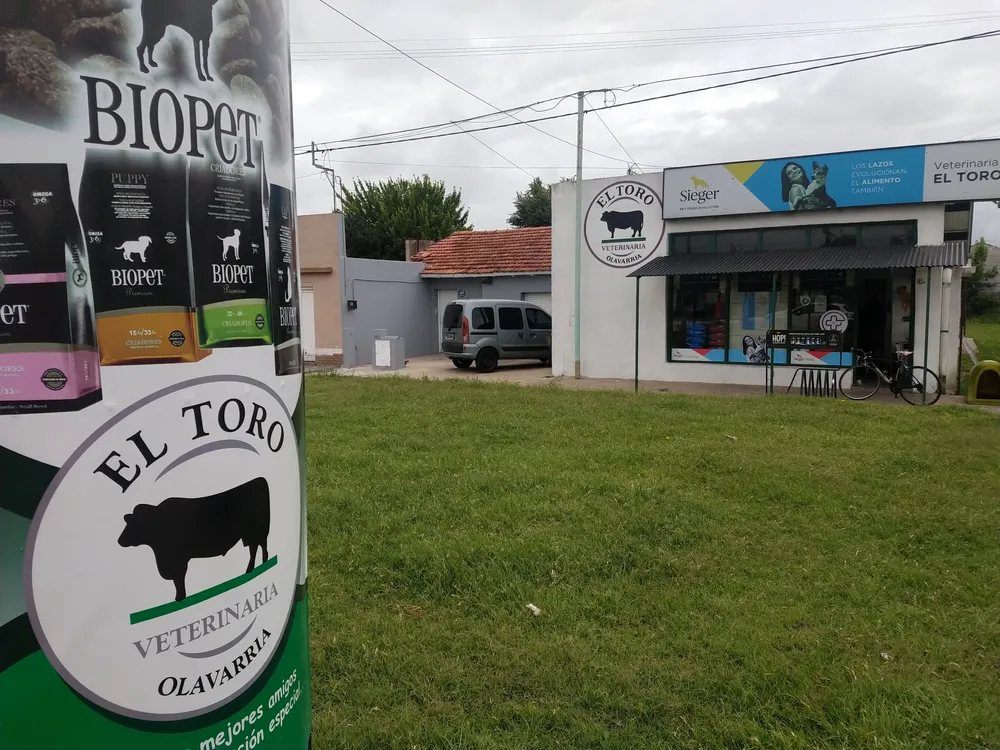 EL TORO1
