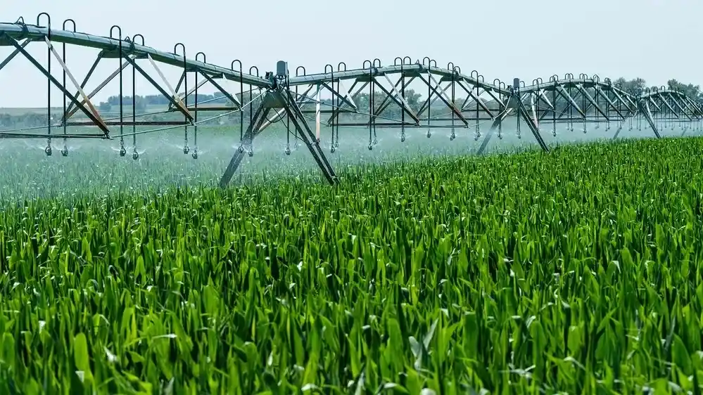 agroquimicos
