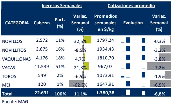 Sin-titulo-298