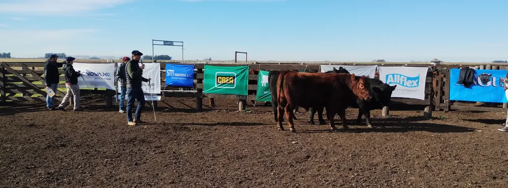 IMG_20240611_112011452