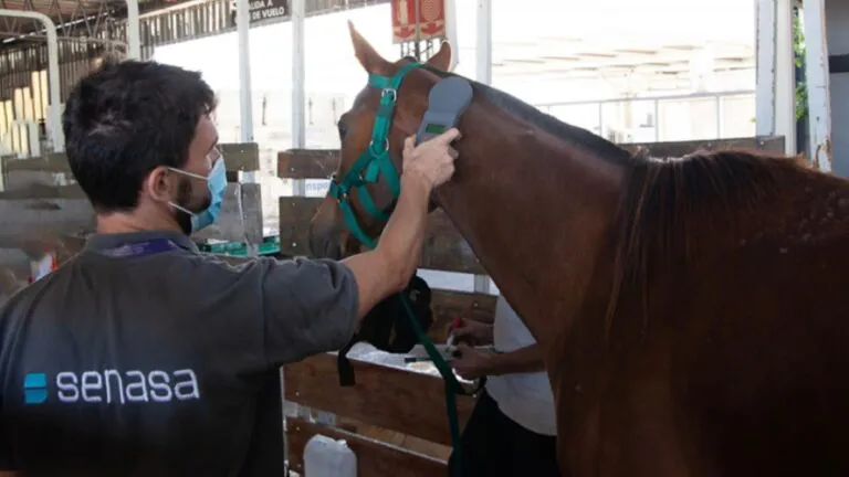 Caballos-a-Namibia-01-768x432
