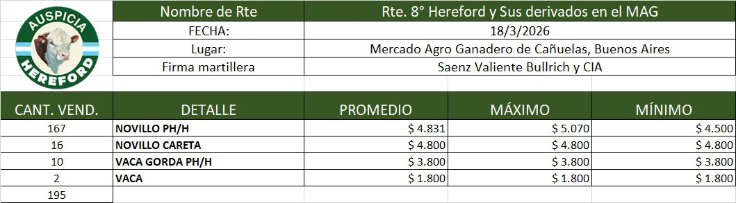 WhatsApp-Image-2026-03-19-at-4.16.18-PM-1