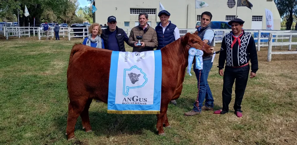 GRAN CAMPEON HEMBRA CIRCUITO ANGUS BONAERENSE