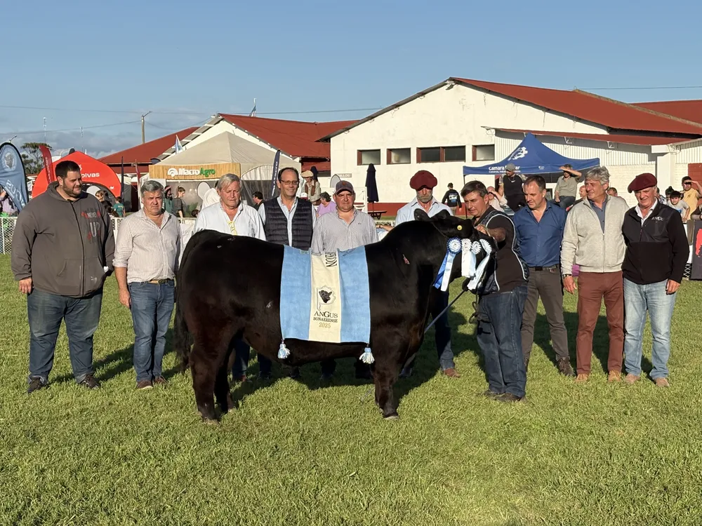 LA JUANITA Y OTROS - GRAN CAMPEON MACHO - EXPO FEDERAL EN BOLIVAR