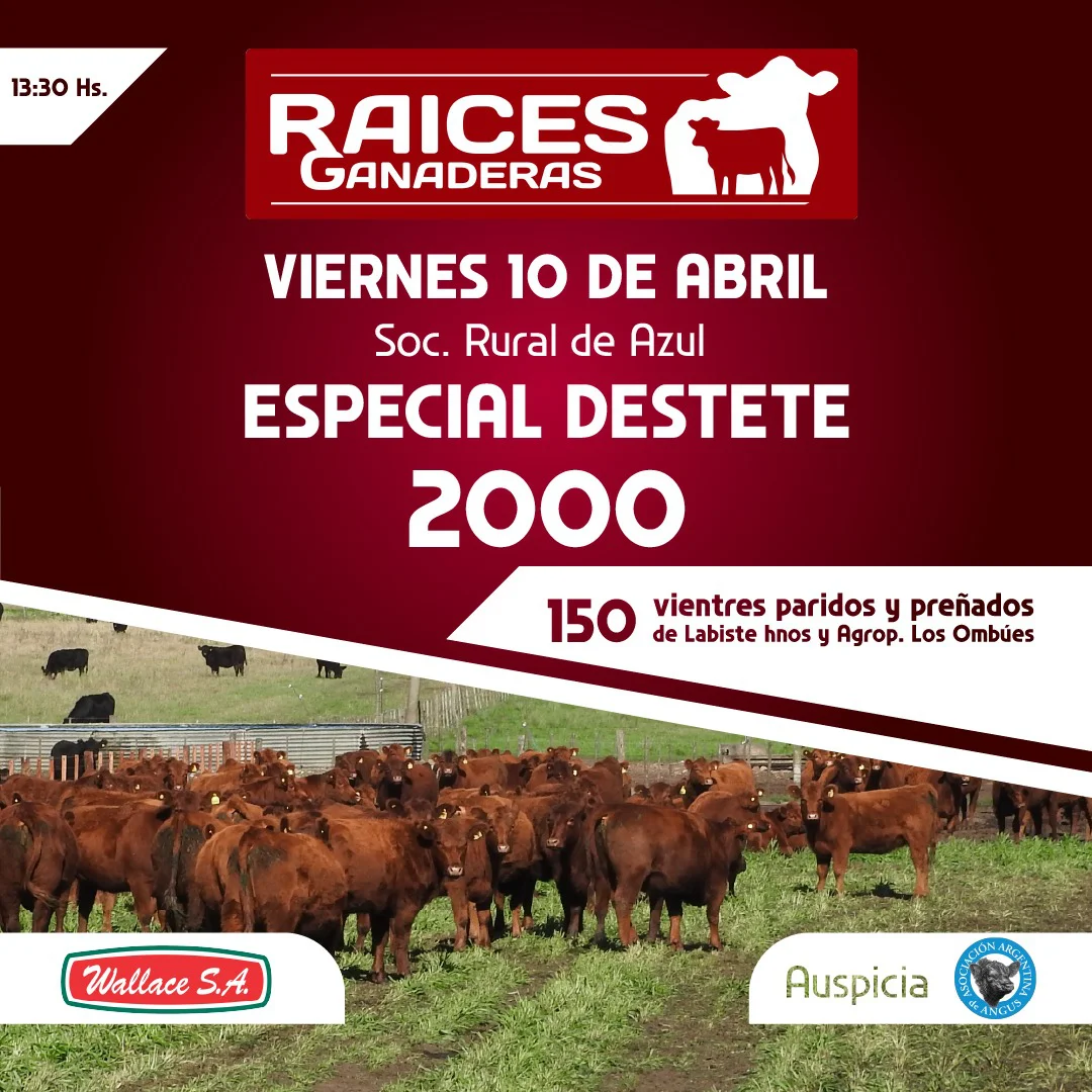 WhatsApp Image 2026-04-07 at 9.54.27 AM