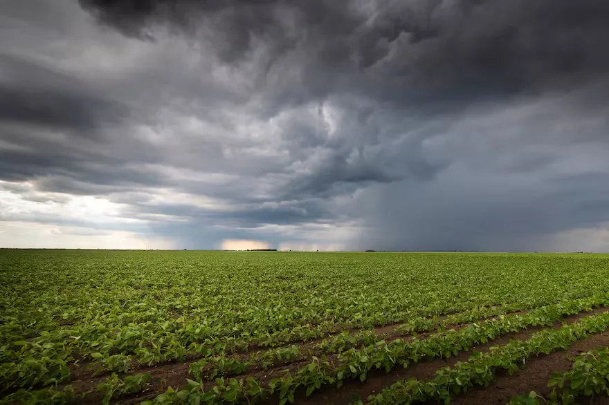 cordoba-es-la-primera-provincia-en-implementar-la-6WJPHBBD7BCBRBWGSHR2O7KMCQ