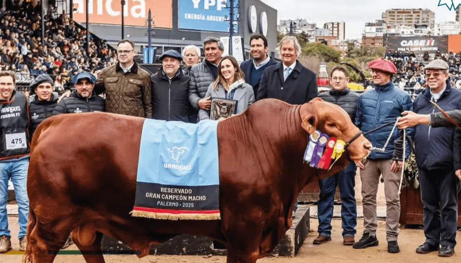 toro-mafioso-palermo