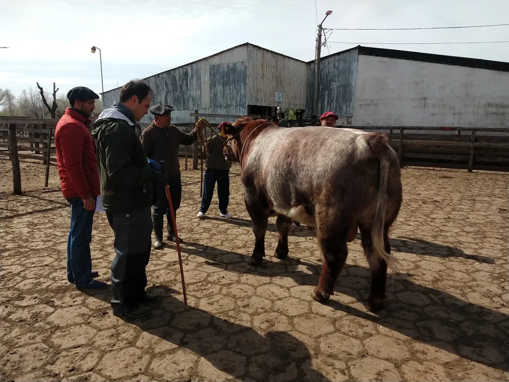 IMG_20230914_104852859