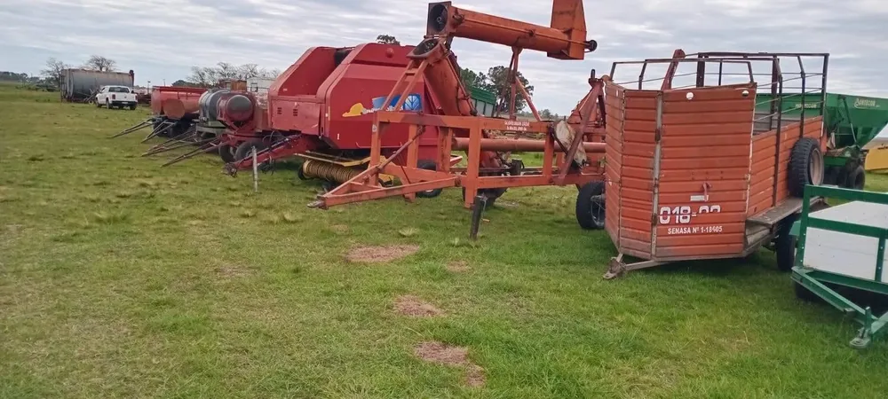 MG10