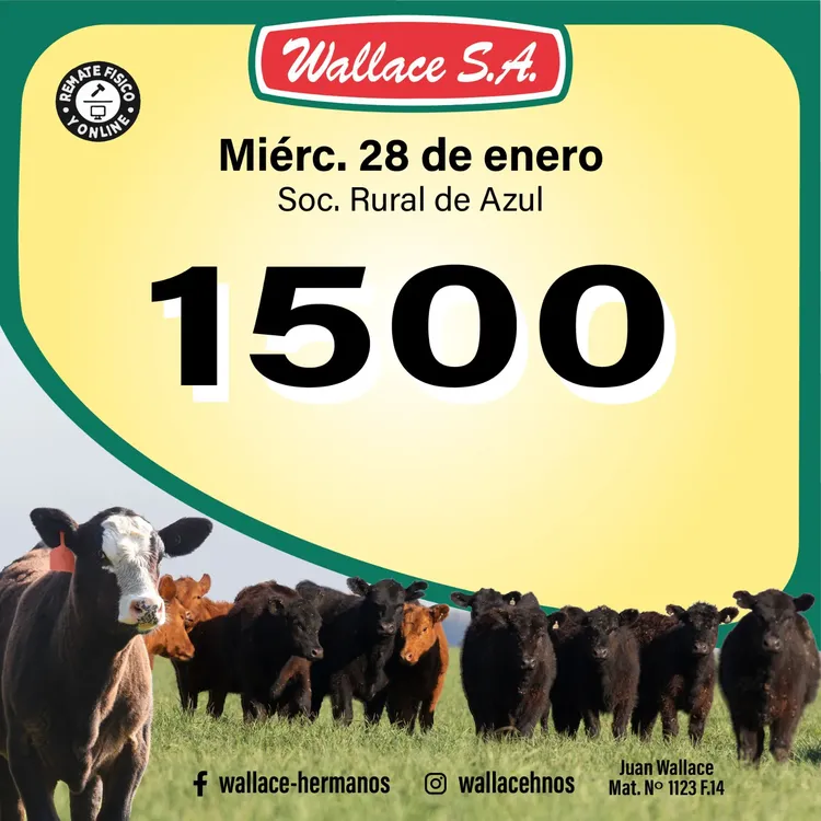 WhatsApp Image 2026-01-03 at 11.36.48 AM