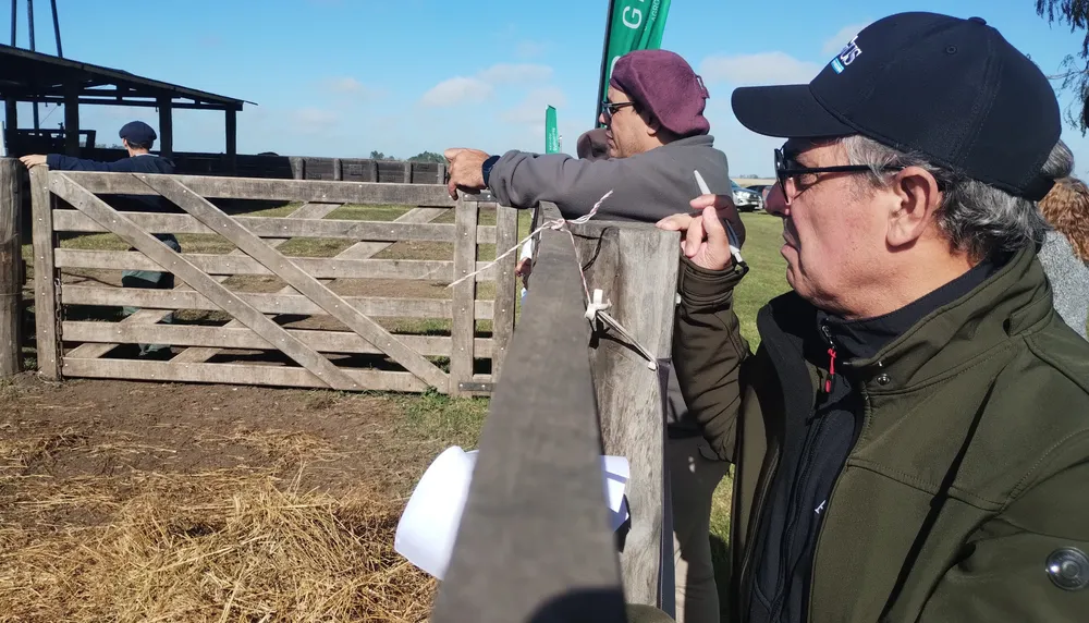 MARTIN TINELLO - ANGUS