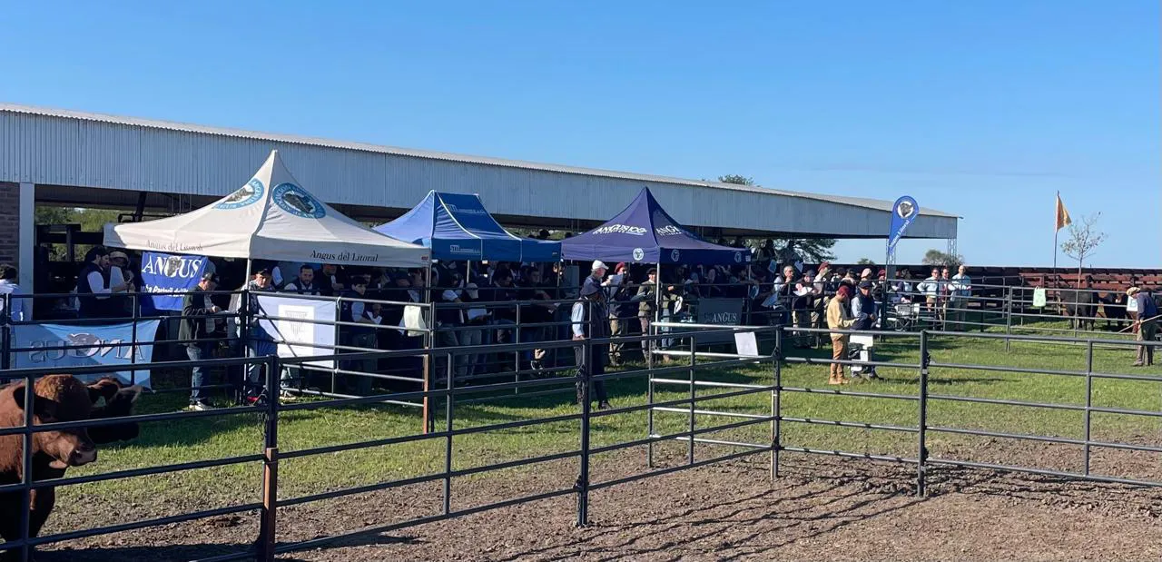 WhatsApp Image 2025-04-19 at 2.00.53 PM