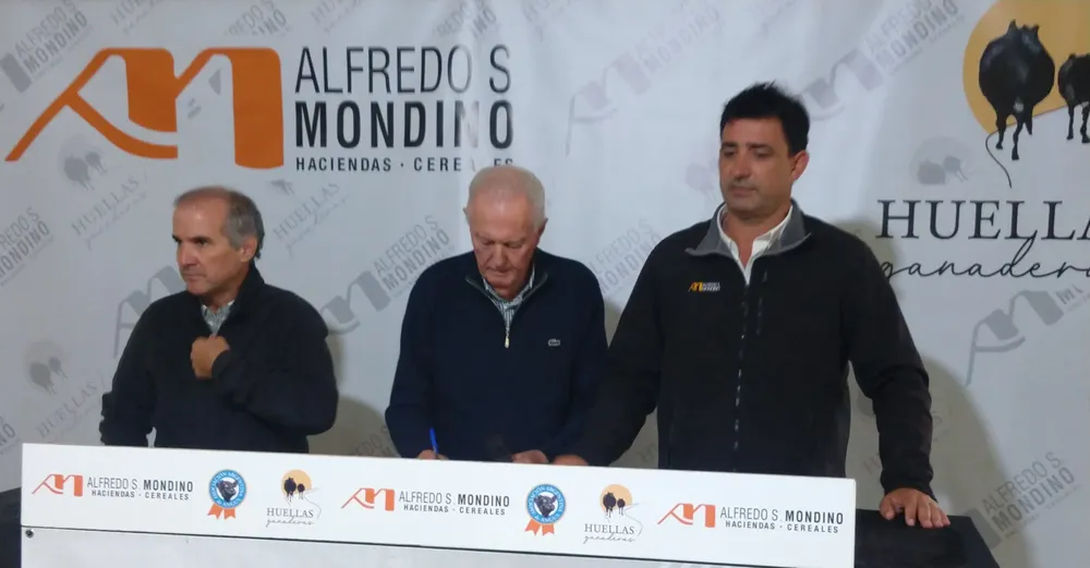 MONDINO HUELLAS