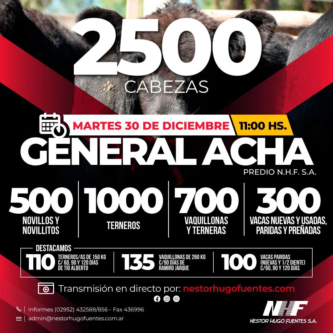 WhatsApp Image 2025-12-26 at 1.22.45 PM