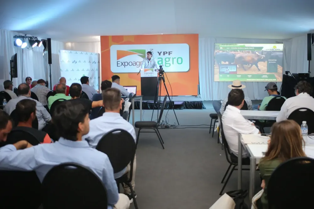 Remates-en-Expoagro-Buena-oferta-y-precios-nivelados