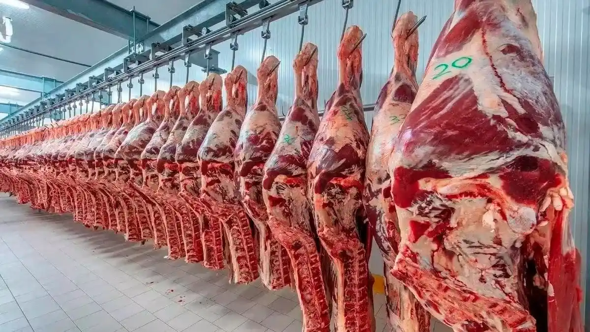 res vacuna carne