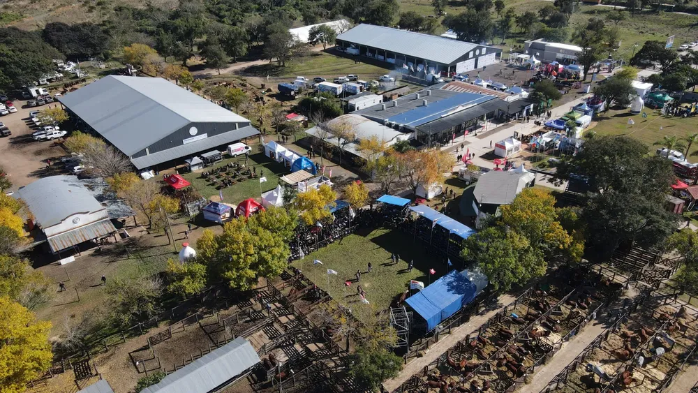 FOTO-DE-PORTADA-112-scaled