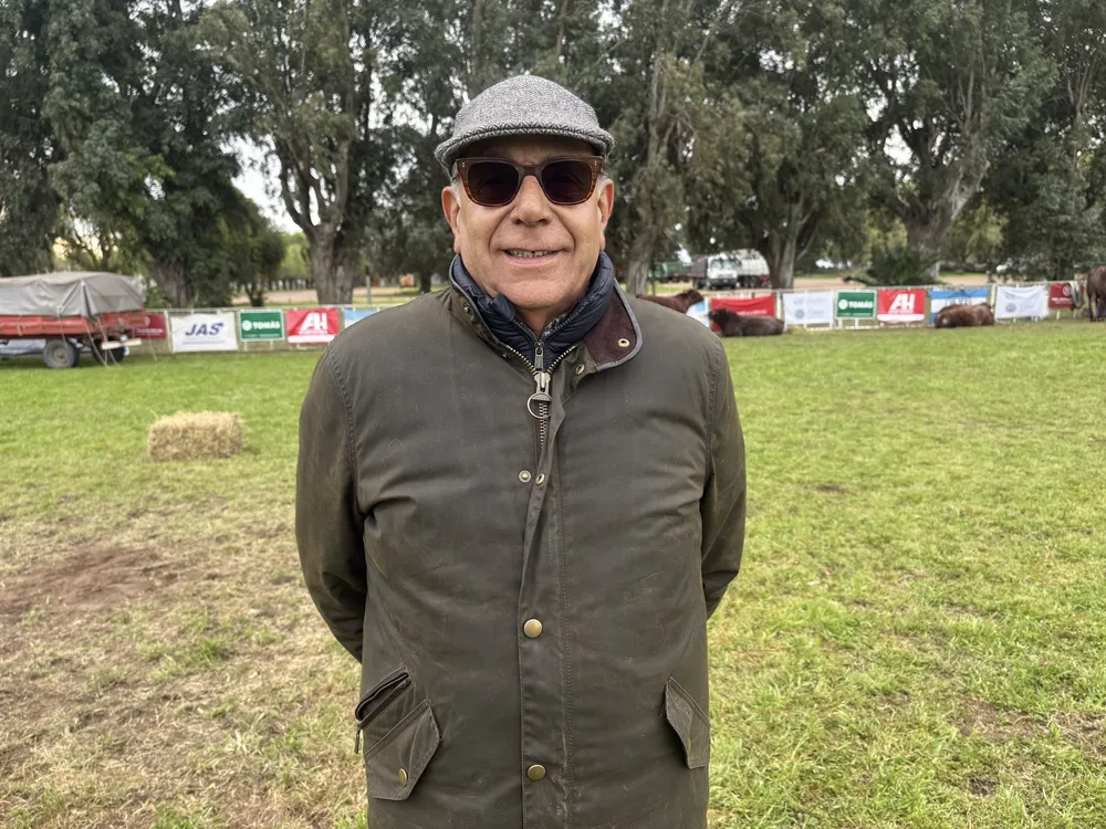 JAVIER PICCO - CABAÑA LA TRINIDAD - SHORTHORN