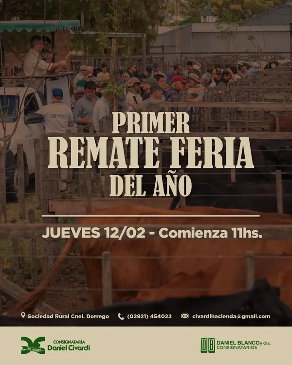 WhatsApp Image 2025-12-26 at 6.54.13 PM