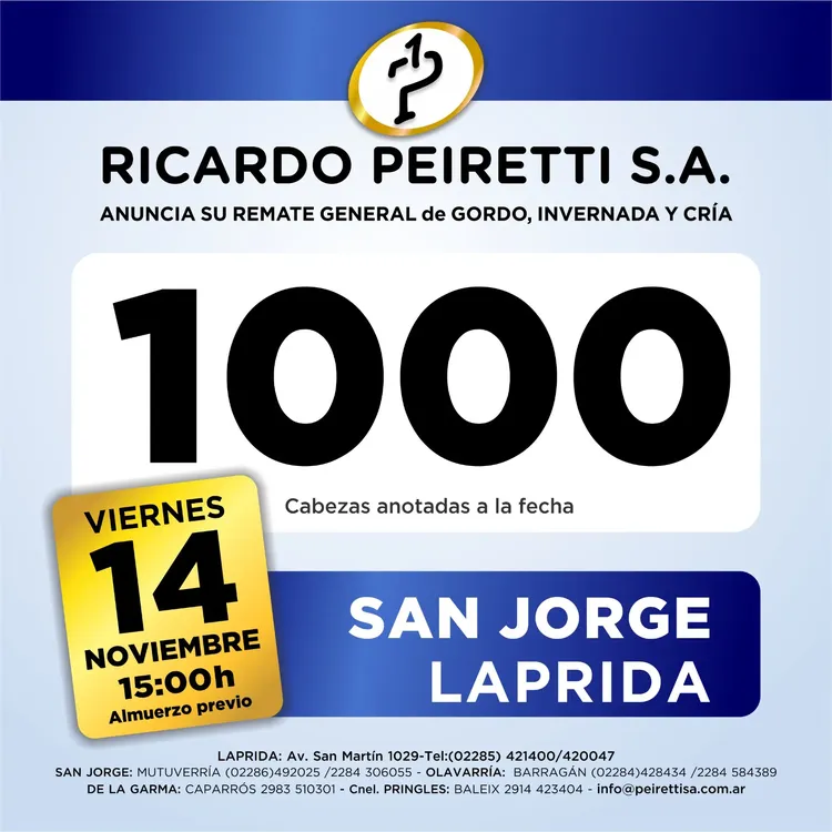 WhatsApp Image 2025-10-28 at 2.46.14 PM