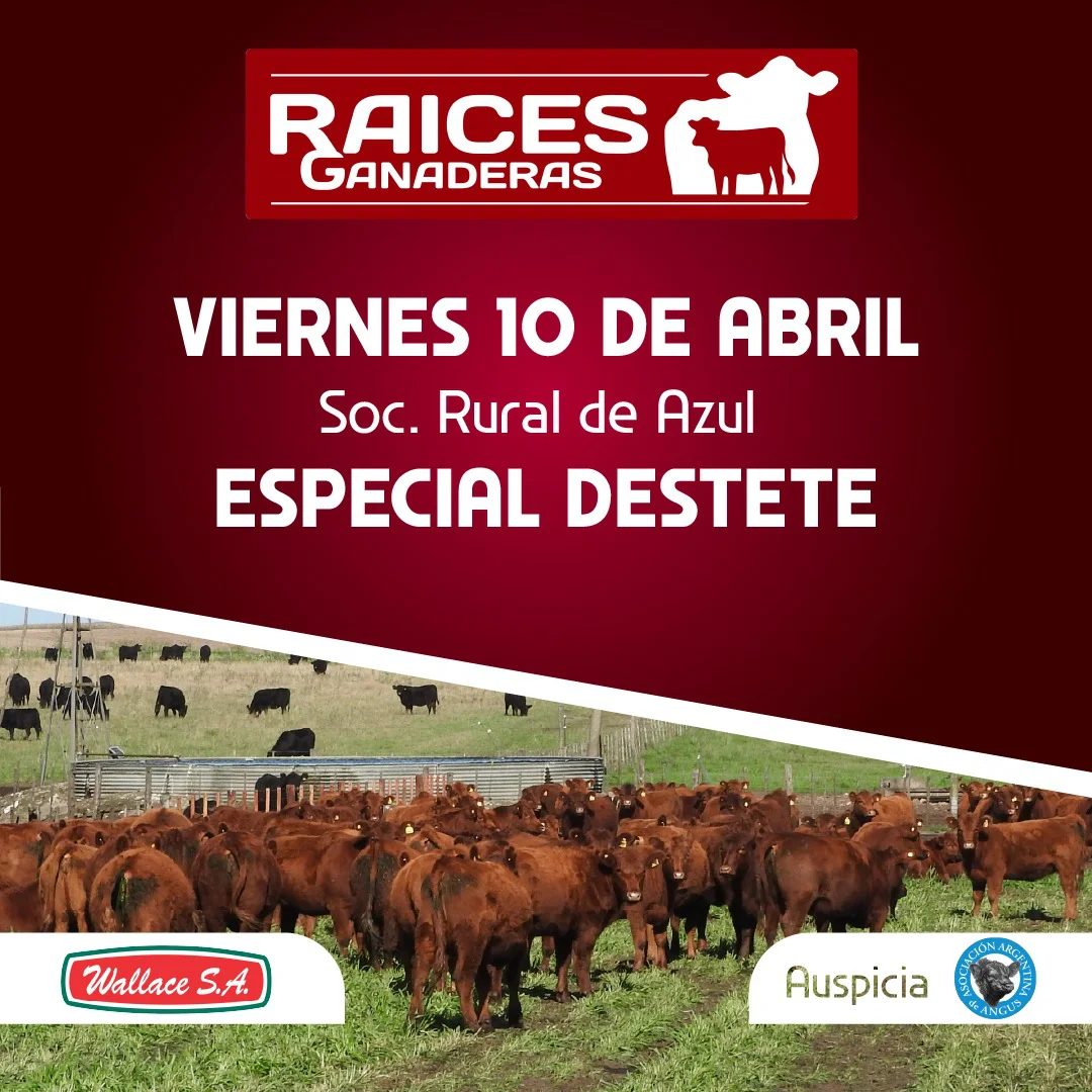 WhatsApp Image 2026-03-11 at 8.57.01 PM