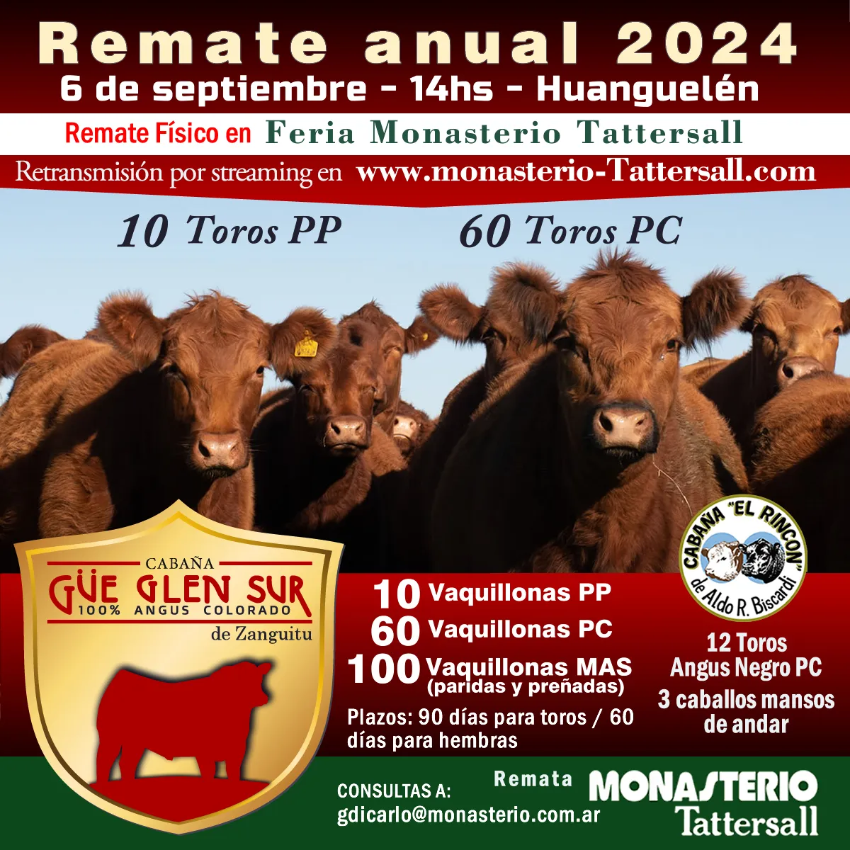 CABAÑA GUE GLEN SUR