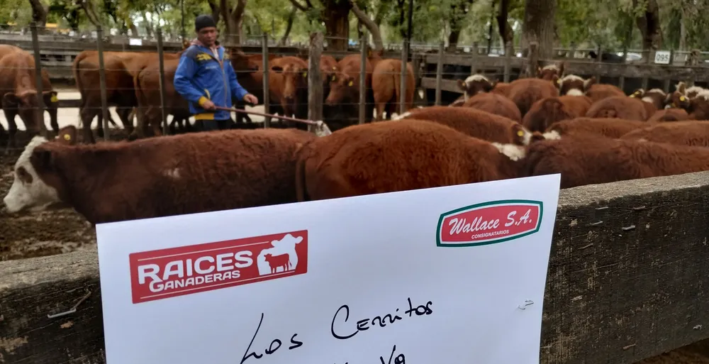 IMG_20240411_152727079_HDR