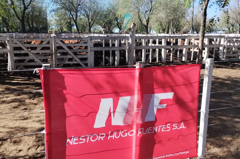 NESTOR HUGO FUENTES SA