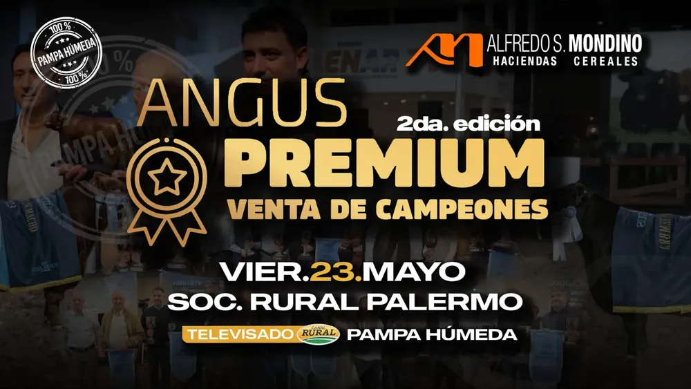 23 may