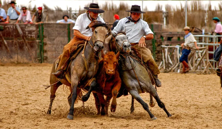 PALETEADA_169-768x449