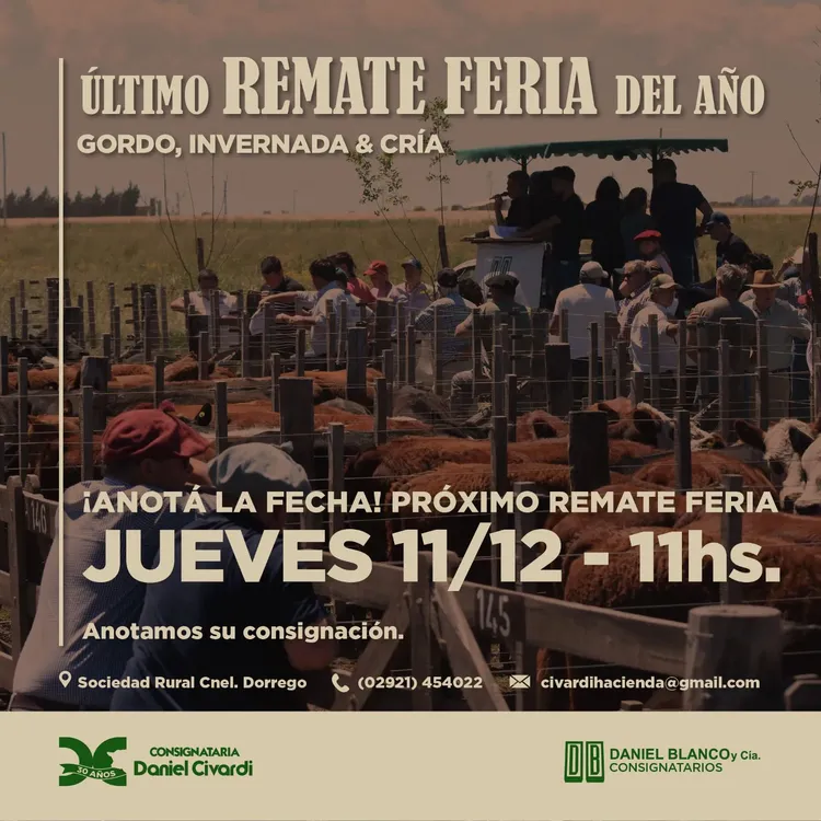 WhatsApp Image 2025-11-14 at 2.46.13 PM