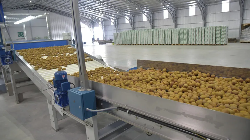 WhatsApp Image 2025-02-11 at 9.11.43 AM