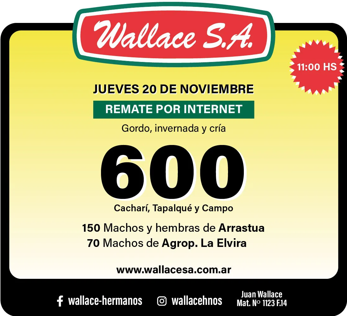 WhatsApp Image 2025-11-19 at 8.17.47 AM